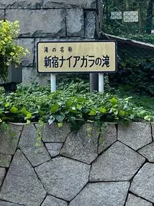 新宿ナイアガラの滝