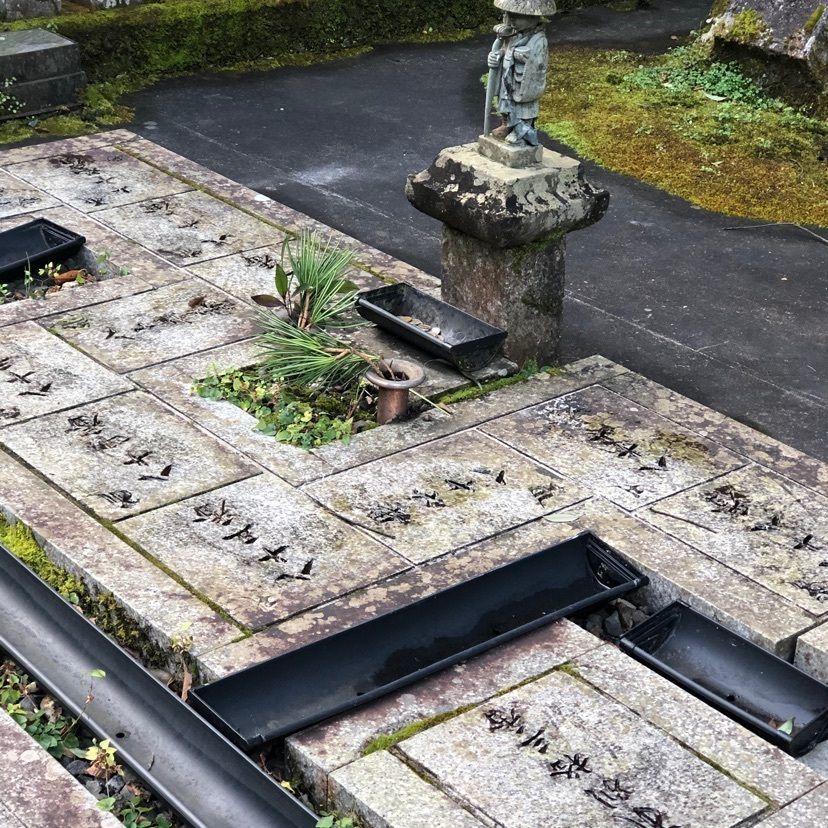 花＊花さんが投稿した犬鳴山七宝滝寺に関する口コミの画像