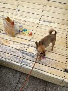 マクドナルド 有明パークビル店