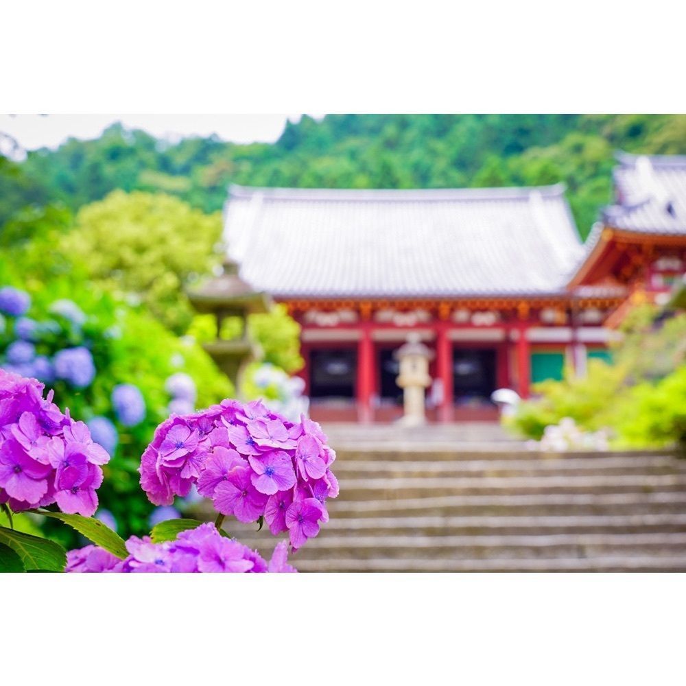 urban_garden_243aさんが投稿した金剛山寺（矢田寺）に関する口コミの画像