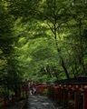 cocoa815さんが投稿した貴布禰總本宮 貴船神社に関する口コミの画像