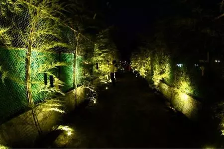 祥龍山金剛寺