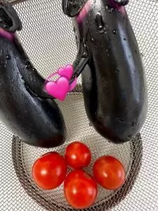 珈琲東