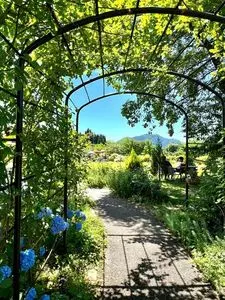 河口湖ミューズ館