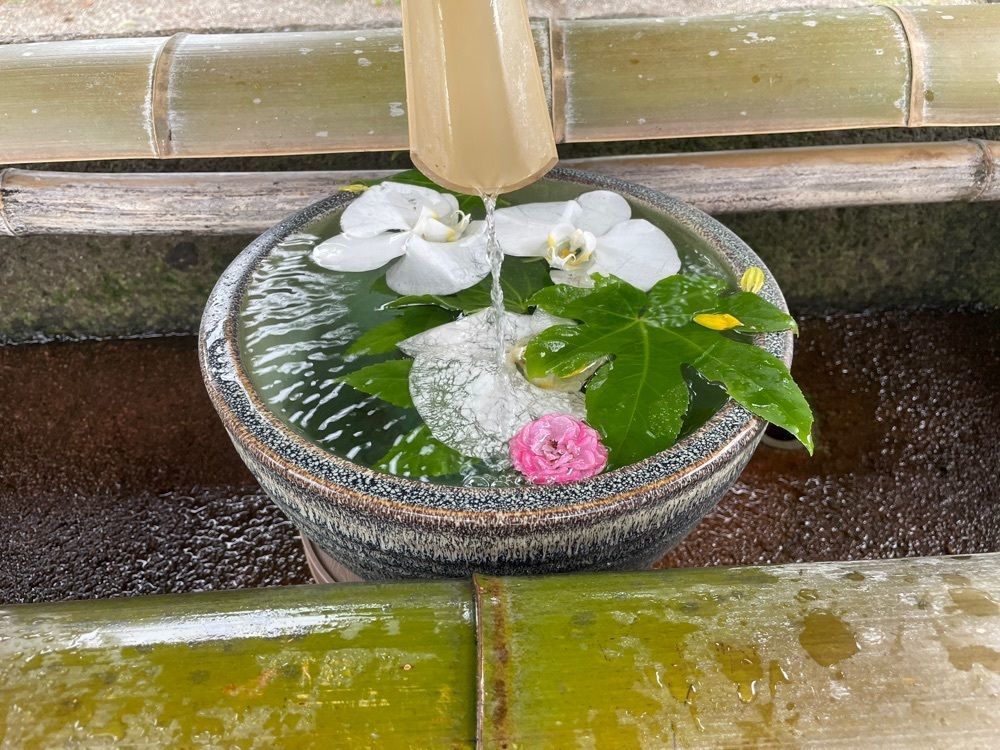 らぐ🏉🍺ビアさんが投稿した菓ふぇ ムラカミ クロスゲート金沢店に関する口コミの画像