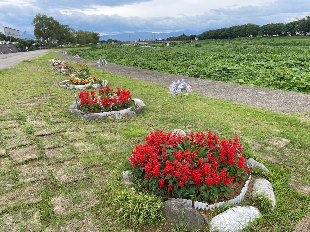 らぐ🏉🍺ビアさんが投稿した菓ふぇ ムラカミ クロスゲート金沢店に関する口コミの画像