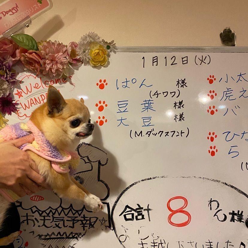 ぱんまひさんが投稿した下呂紅葉館別館わん泊亭に関する口コミの画像
