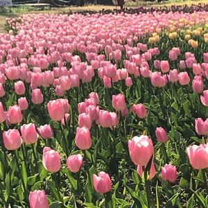 国営武蔵丘陵森林公園
