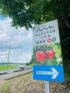 マルセンファーム 直売所（MARUSEN FARM）