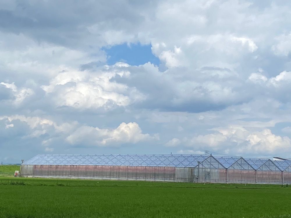 Musashiさんが投稿したマルセンファーム 直売所（MARUSEN FARM）に関する口コミの画像