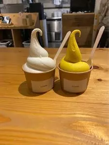 COTARU（コタル）