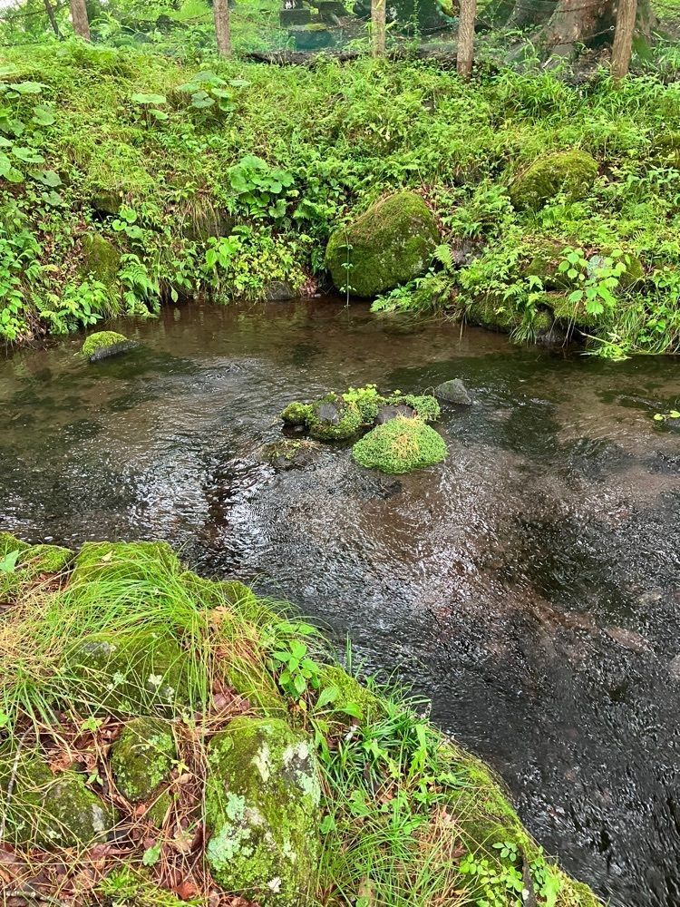 Nさんが投稿した三分一湧水に関する口コミの画像