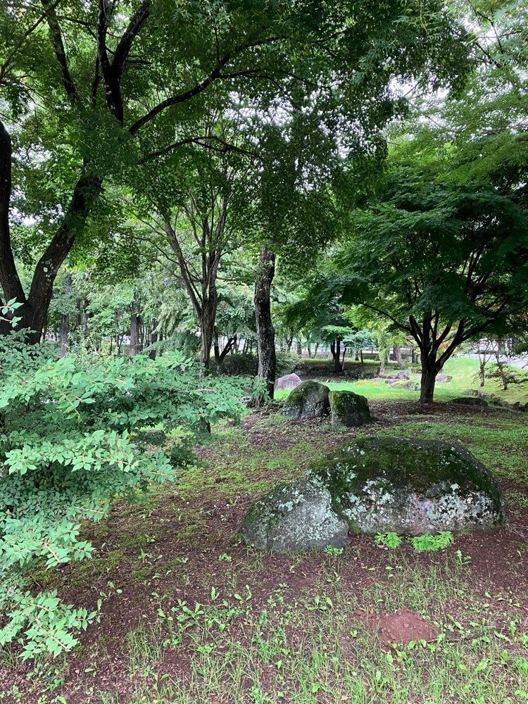 Nさんが投稿した三分一湧水に関する口コミの画像