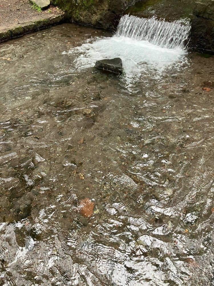Nさんが投稿した三分一湧水に関する口コミの画像