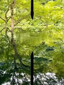 嵐山 祐斎亭