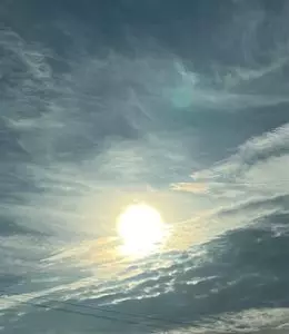 穂谷コスモス畑