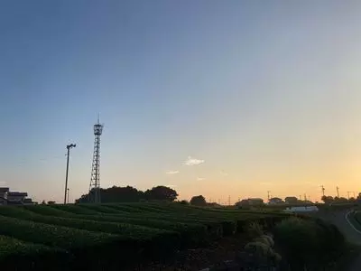 和食さと 磐田見付店