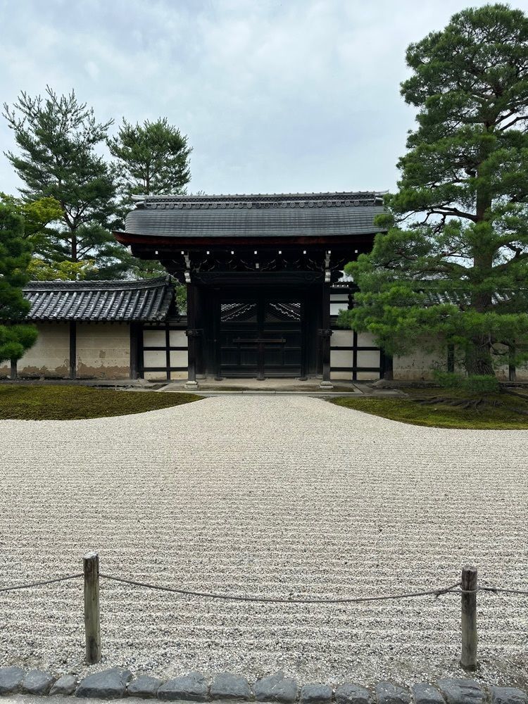 nico☺︎さんが投稿した天龍寺のハスに関する口コミの画像
