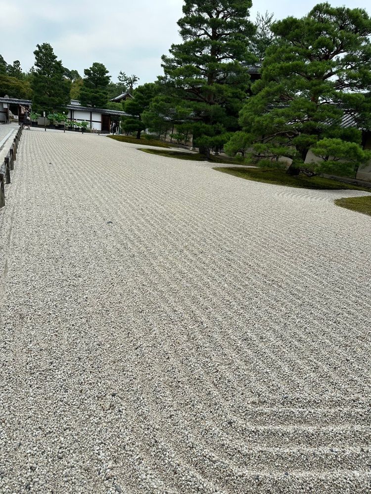 nico☺︎さんが投稿した天龍寺のハスに関する口コミの画像