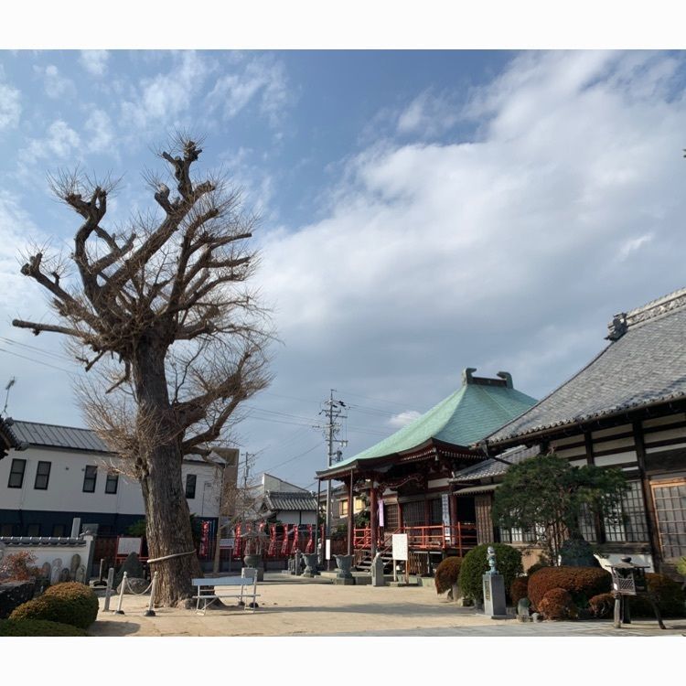 Howl Monさんが投稿した宣光寺に関する口コミの画像