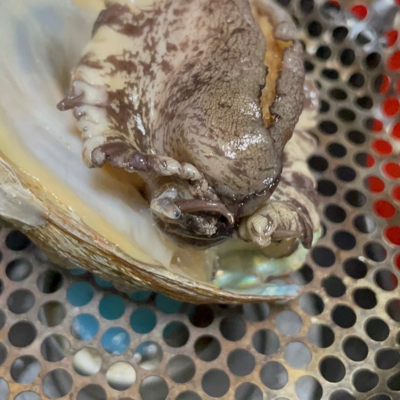アキオウさんが投稿した湯の花亭に関する口コミの画像