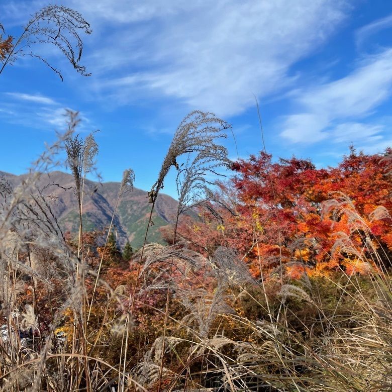 Jineiさんが投稿した三峯山 大島屋に関する口コミの画像