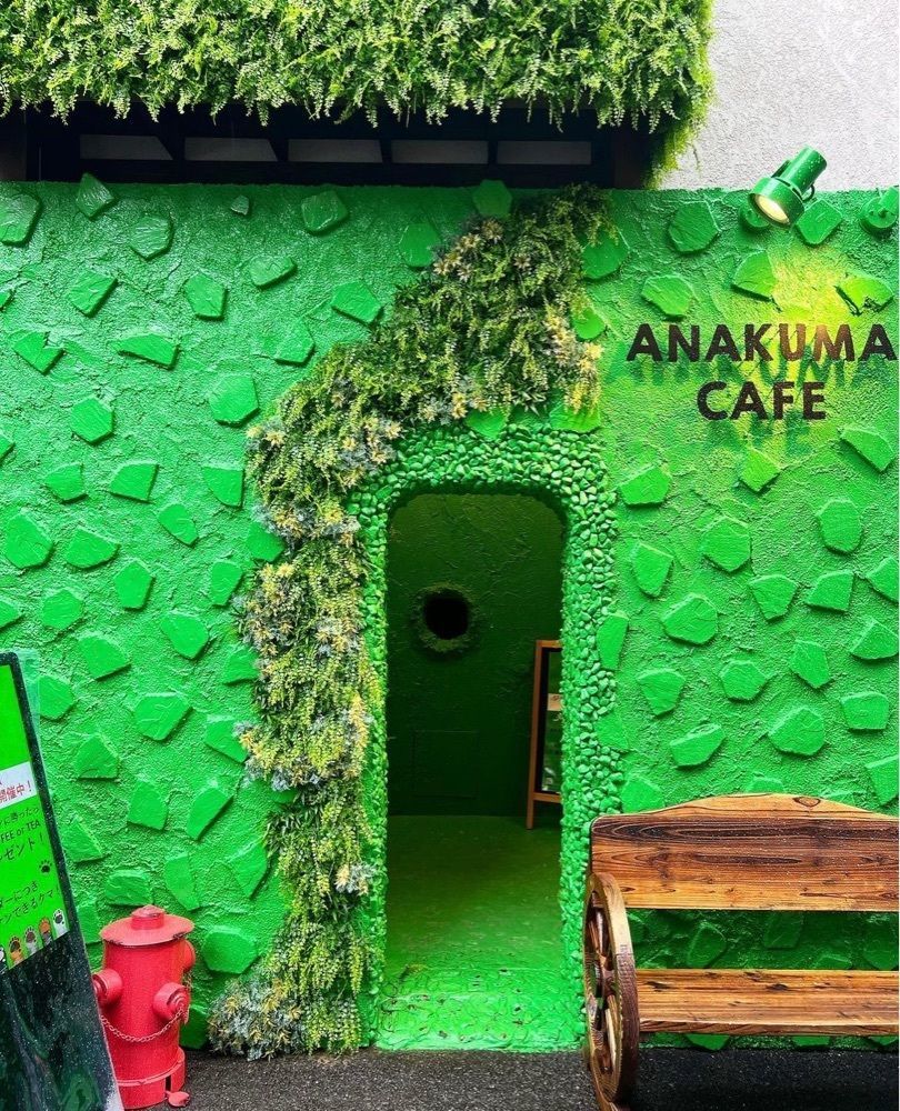 ayu.latteさんが投稿したANAKUMA CAFE 大名店（アナクマ カフェ）に関する口コミの画像