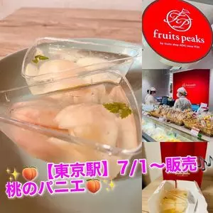 フルーツピークス グランスタ東京店