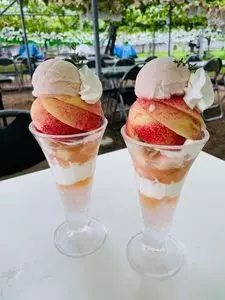 まるいわぶどう園