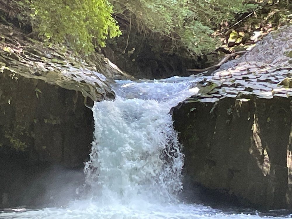 fumiさんが投稿した河津七滝七福神巡りに関する口コミの画像