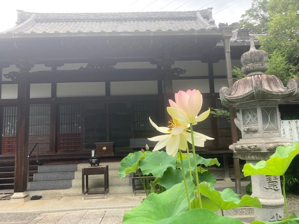 咲空さんが投稿した頼光寺に関する口コミの画像