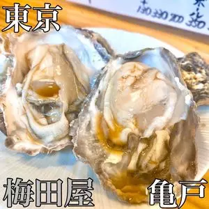 梅田屋はなれ（【旧店名】梅田屋）