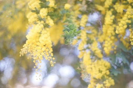 和泉リサイクル環境公園