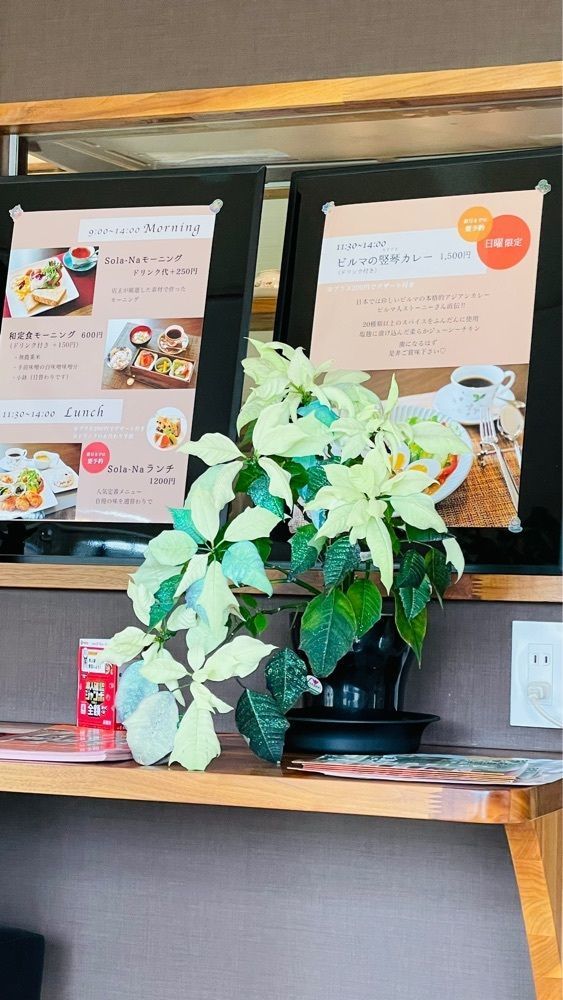 みぃさんが投稿したSola-Na（ソラナ）に関する口コミの画像