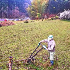 奥播磨かかしの里