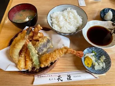 天藤（てんとう）