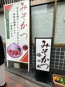 みそかつ梅の木（みそかつ うめのき）