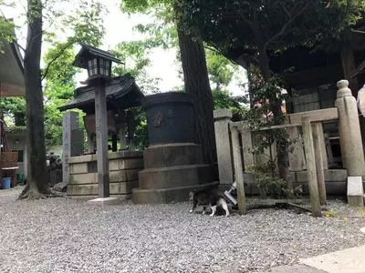 小野照崎神社