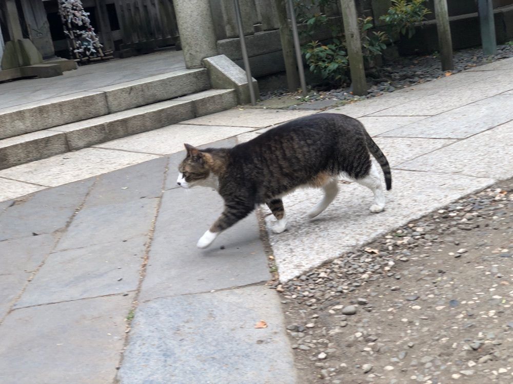 gocchさんが投稿した小野照崎神社に関する口コミの画像