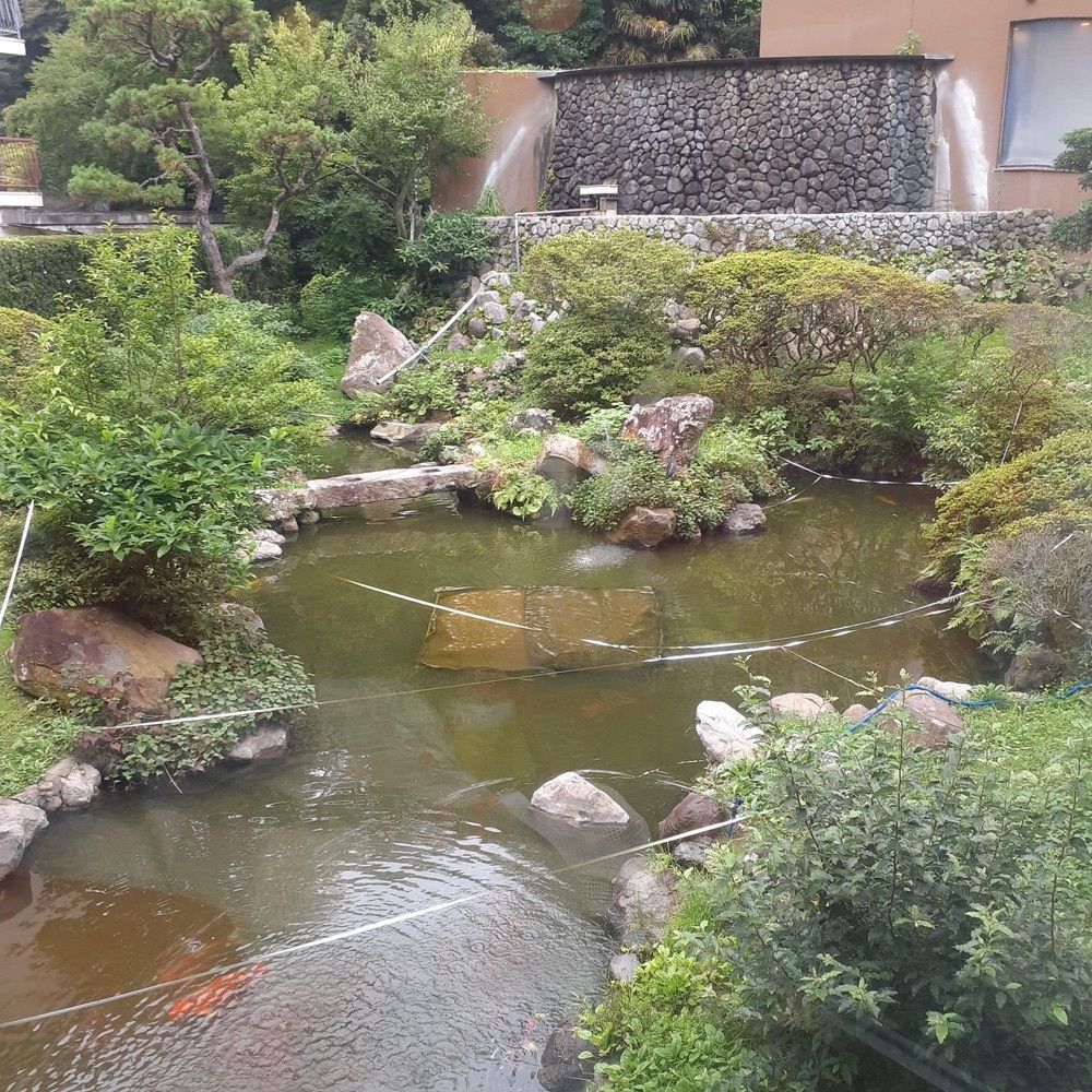 A bientot Japonさんが投稿したゆとりろ別府（【旧店名】別府　湯の宿　ゆるり）に関する口コミの画像