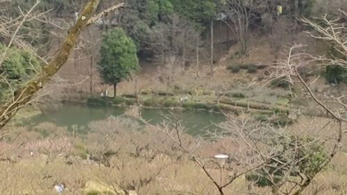 薬師池公園