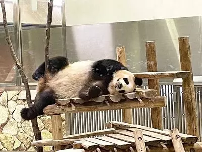 アドベンチャーワールド