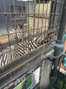 ノースサファリサッポロ