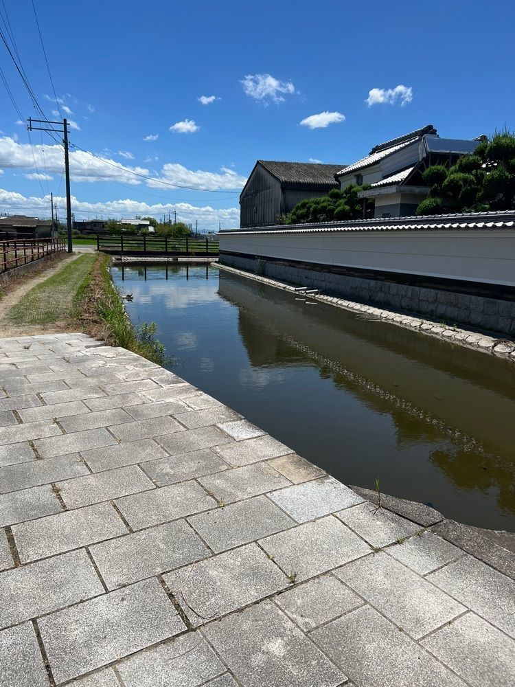 ステップさんが投稿した慈光院庭園に関する口コミの画像