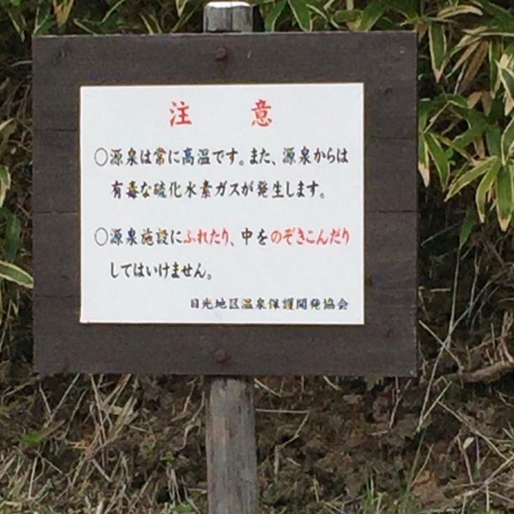 からっ風②さんが投稿した日光湯元温泉ファミリースキー場に関する口コミの画像