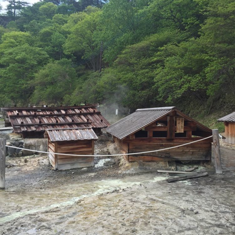 からっ風②さんが投稿した日光湯元温泉ファミリースキー場に関する口コミの画像