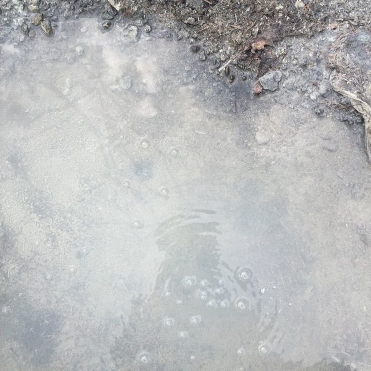 からっ風②さんが投稿した日光湯元温泉ファミリースキー場に関する口コミの画像