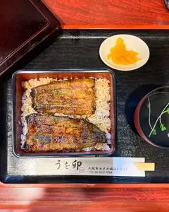 うを卯