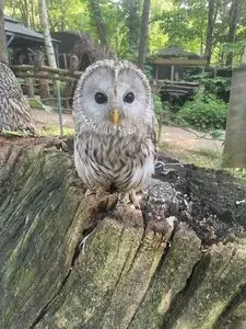 ノースサファリサッポロ