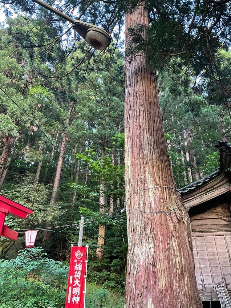 らぐ🏉🍺ビアさんが投稿した湯涌温泉に関する口コミの画像
